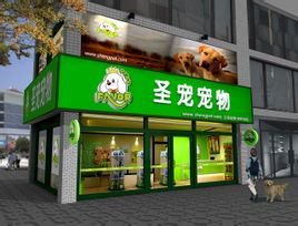 圣宠宠物1.jpg