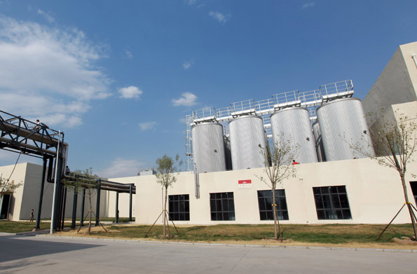 优布劳啤酒传承德国典型发酵酿造工艺 酒体麦芽香味浓郁口感醇厚