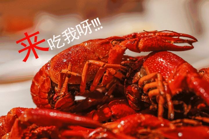 闪八结合健康流行与时尚趋势 提供高品质健康的食品给消费者