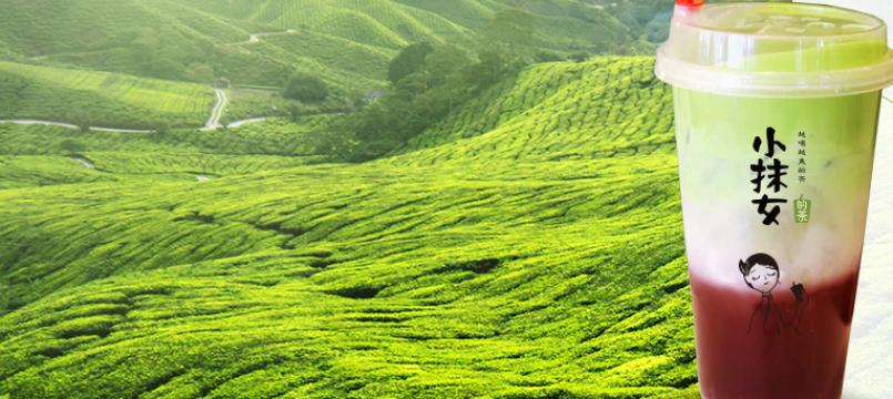 小抹女的茶专注抹茶产品 打造舌尖美味
