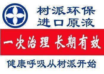 树派环保改善室内空气环境 营造绿色环保空间