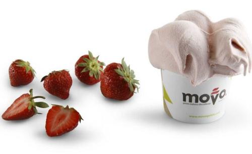Movo意大利冰淇淋遵循现代化的制作工艺 味道纯正深受青睐