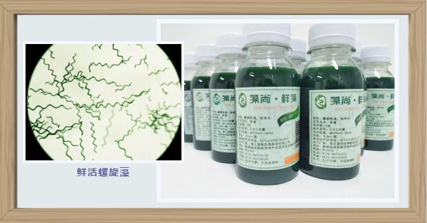 保护肝脏——优质全价的高蛋白营养功能
