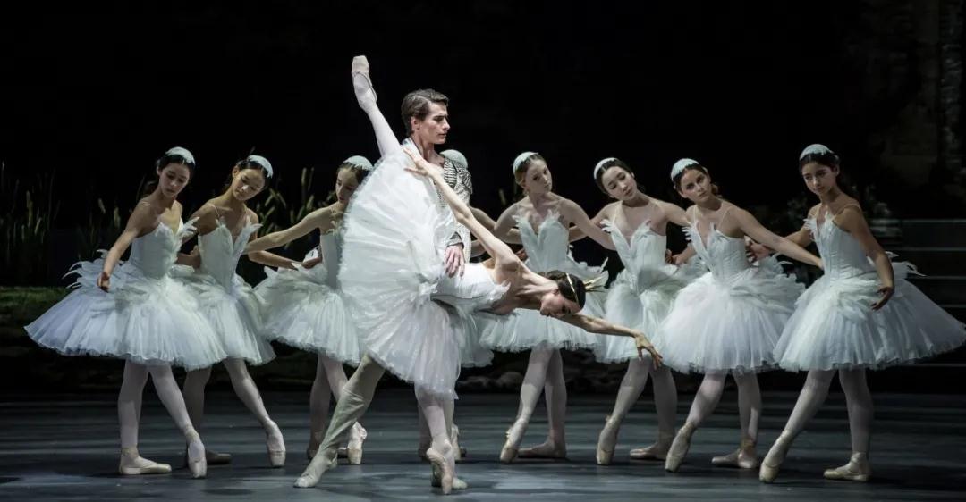 舞剧鉴赏 | 芭蕾史最伟大的明珠——《天鹅湖》