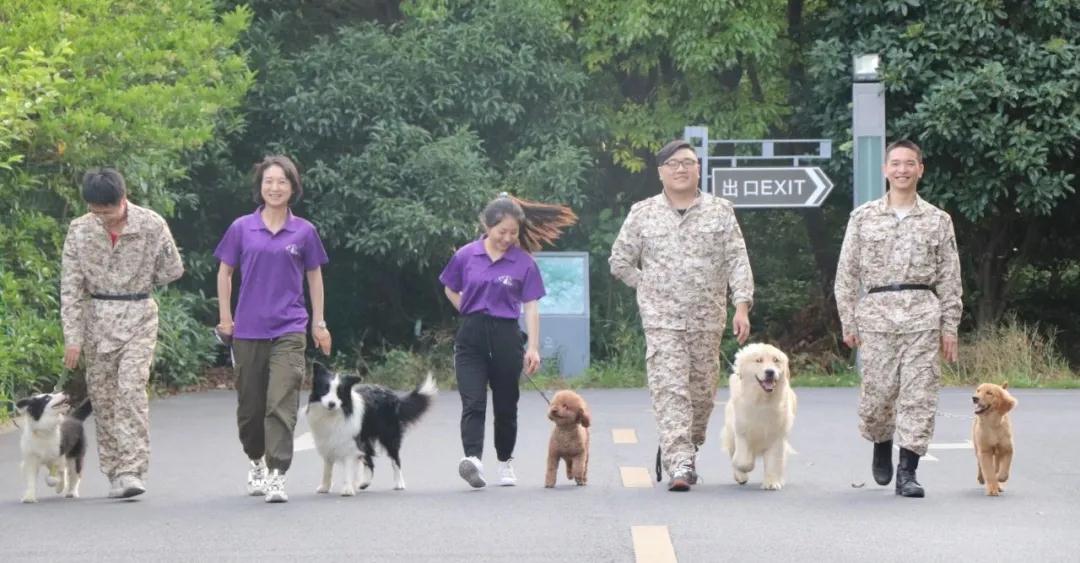 宠物潮流地标指北——派多格宠物综合体，引流城市宠物消费新风向