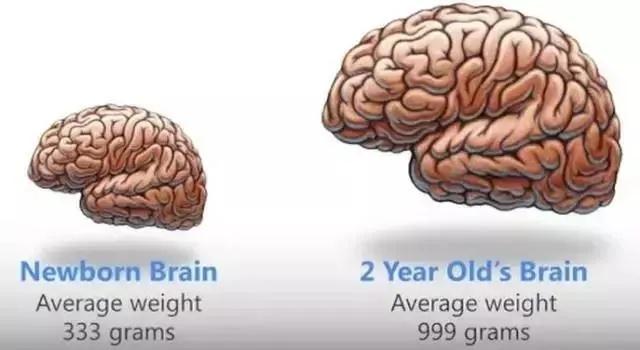 早教，就是给孩子找个撒欢儿玩的地方吗?【父母课堂】