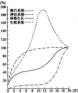 早教，就是给孩子找个撒欢儿玩的地方吗?【父母课堂】