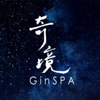 奇境GinSPA