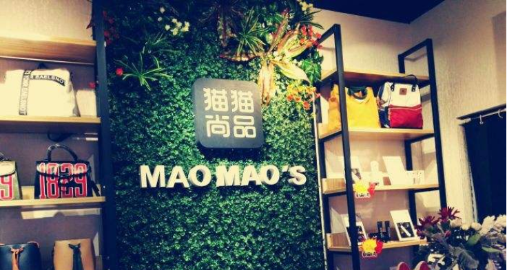 特许加盟备案企业公示——猫猫尚品