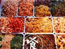 鸭货行业入门指南