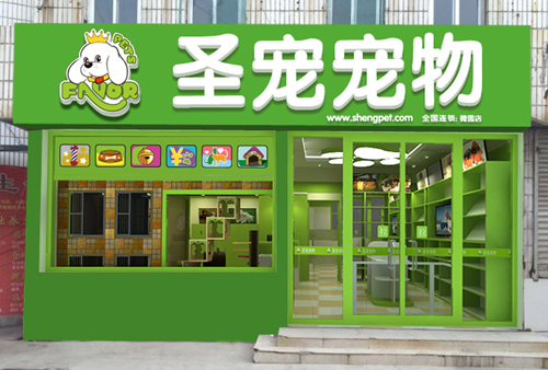 圣宠以十年磨一剑的专注 借鉴行业经验吸取精华