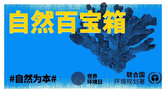在世界环境日，一起做绿色消费倡导的行动派!