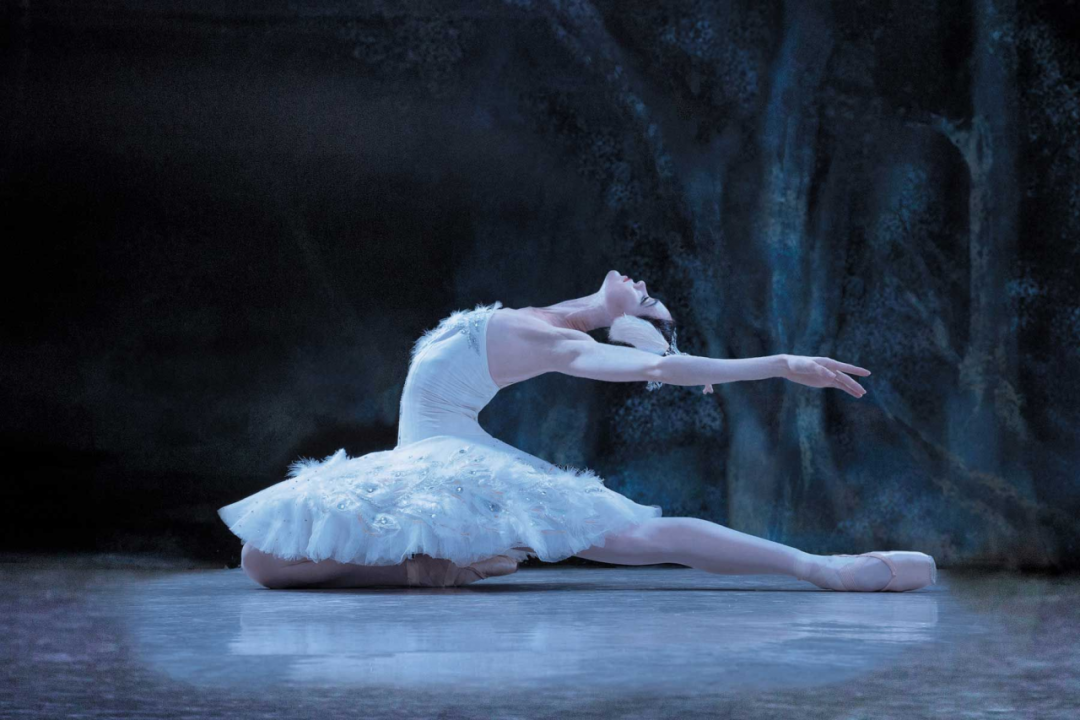 舞剧鉴赏 | 芭蕾史最伟大的明珠——《天鹅湖》