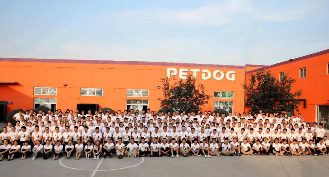 派多格教育14载：宠物行业全方位技术培训的实践者与创领者