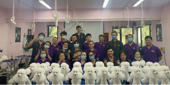 中国最萌学院：派多格与洛阳职院共建宠物行业“哈佛”大学