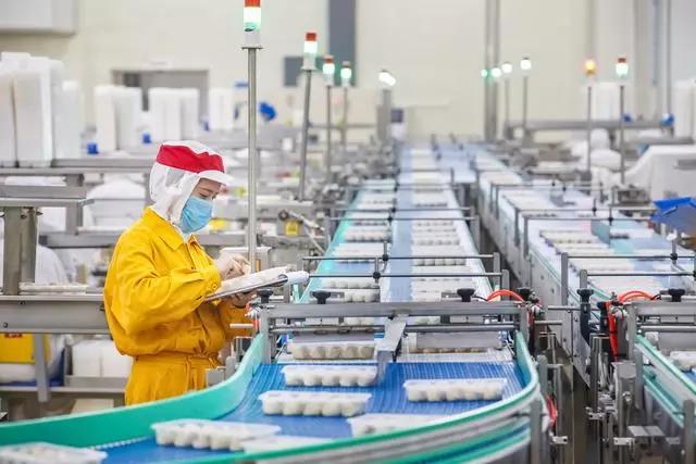 【客户案例】你见过满宝馄饨生产线吗？一台拌馅机配9个员工，包一颗只需几秒