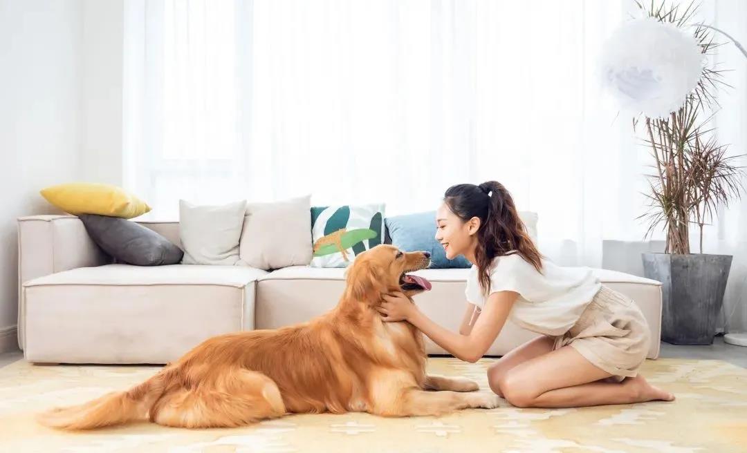 家有宠物应该如何装修呢？每1㎡都会被安排得明明白白！