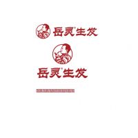 中国特许加盟展参展品牌-岳灵生发