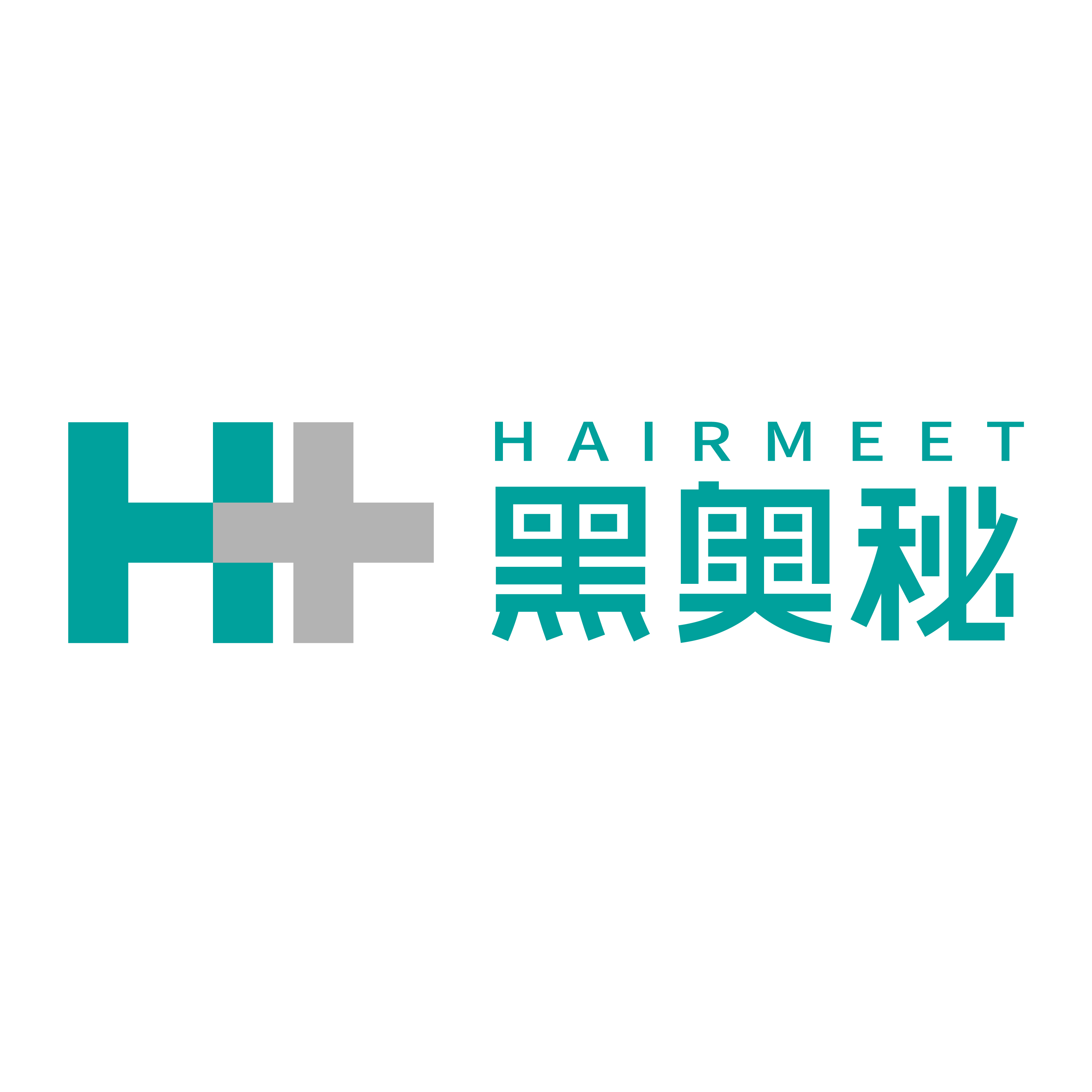 中国特许加盟展参展品牌-黑奥秘