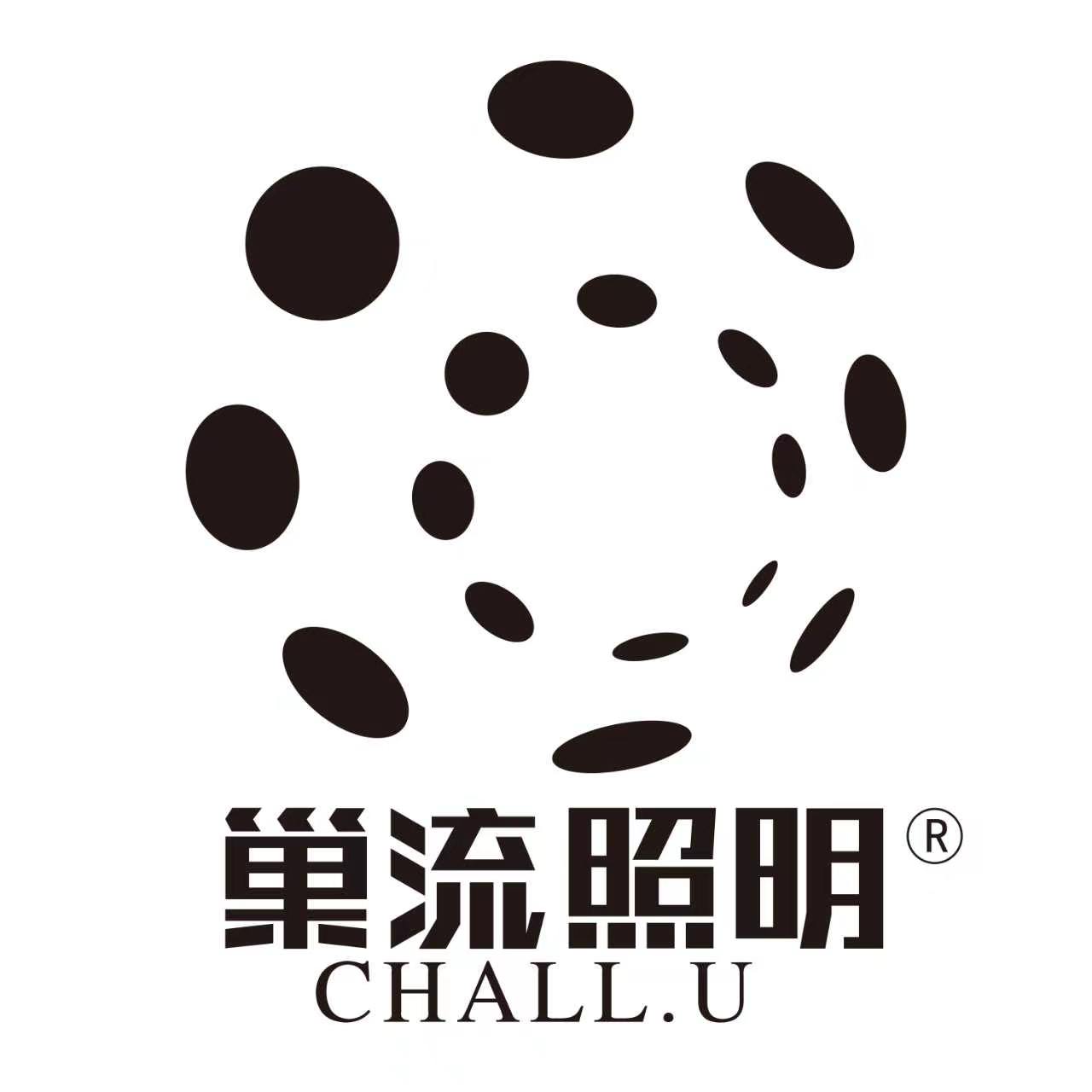 中国特许加盟展参展品牌-巢流照明